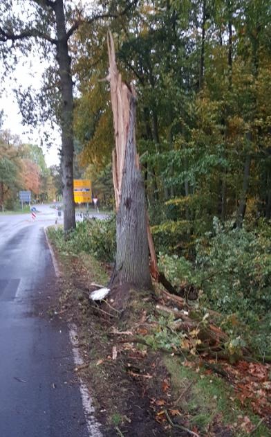 POL-NB: Zeugenaufruf nach Verkehrsunfall mit Unfallflucht