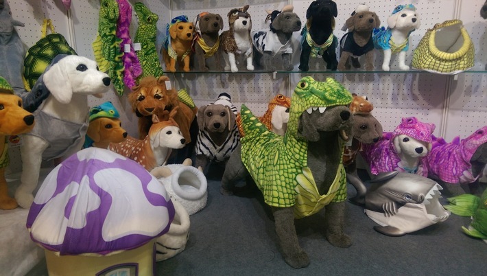 Quand les animaux deviennent des vedettes sur Internet