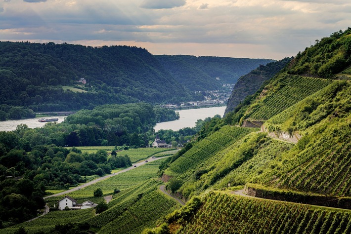 Aktivurlaub in Andernach: Naturerlebnisse und Genuss bei PURS Fine Hotels & Restaurants