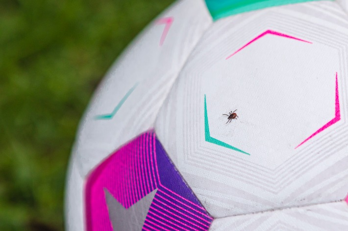 Fußballfans, aufgepasst! / Die Aktion "Deutschland macht den Zecken-Check" zeigt: FSME-Vorsorge auch im EM-Sommer wichtig