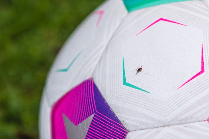 Fußballfans, aufgepasst! / Die Aktion &quot;Deutschland macht den Zecken-Check&quot; zeigt: FSME-Vorsorge auch im EM-Sommer wichtig