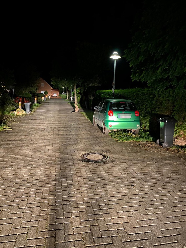 POL-DEL: Stadt Delmenhorst: Besitzer eines Kängurus in Delmenhorst gesucht