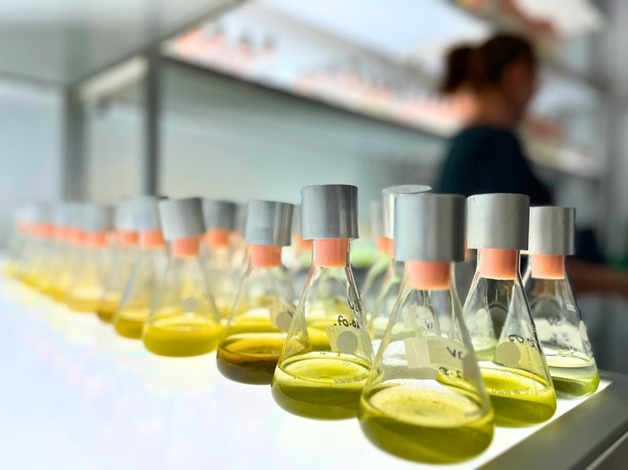 International einflussreich und beachtet : Forschende der Universität Duisburg-Essen werden hoch zitiert