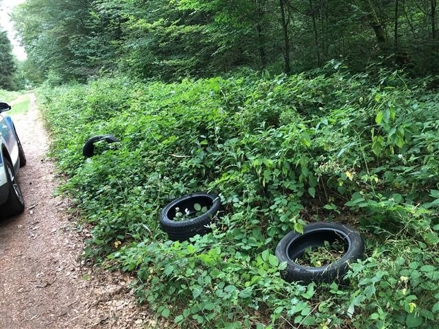 POL-PPWP: Wer hat die Autoreifen im Wald entsorgt?