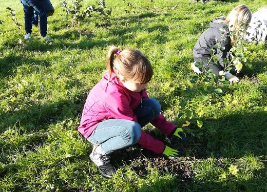 Projektstart: CO2ero – Schulen auf dem Weg zur Klimaneutralität