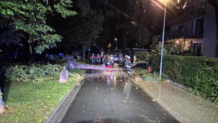 FW Allensbach: H1 Baum auf Fahrbahn