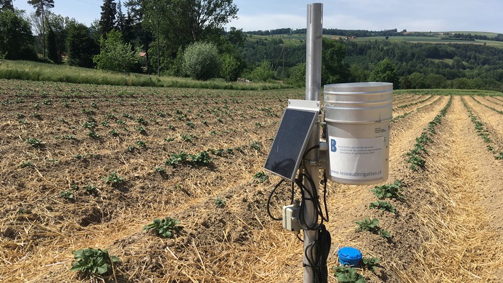 Medienmitteilung: AgriAqua: Neues Spin-off für bessere Wassernutzung in Landwirtschaft