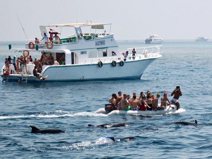 ITB Berlin: Delfinschützer warnen vor unkontrolliertem Schwimmen mit Delfinen - Vortrag beim &quot;13. Pow-Wow for Tourism Professionals&quot; am 7. März um 16:30 (Halle 4.1 - Adventure Bühne)