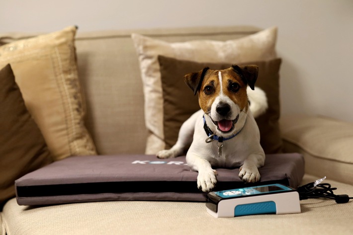 Moderne Heimgeräte ermöglichen eine einfache Anwendung und können die veterinärmedizinische Betreuung sinnvoll ergänzen. / Weiterer Text über ots und www.presseportal.de/nr/183592 / Die Verwendung dieses Bildes für redaktionelle Zwecke ist unter Beachtung aller mitgeteilten Nutzungsbedingungen zulässig und dann auch honorarfrei. Veröffentlichung ausschließlich mit Bildrechte-Hinweis.