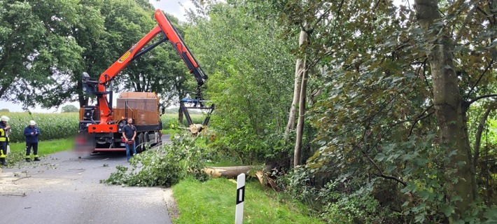 FFW Schiffdorf: Feuerwehr befreit Straße von Baum - LKW-Fahrer unterstützt