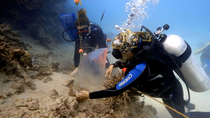 "Die Rettung der Arten": 5-teilige "nano"-Reihe mit Ingolf Baur zur UN-Biodiversitätskonferenz in 3sat