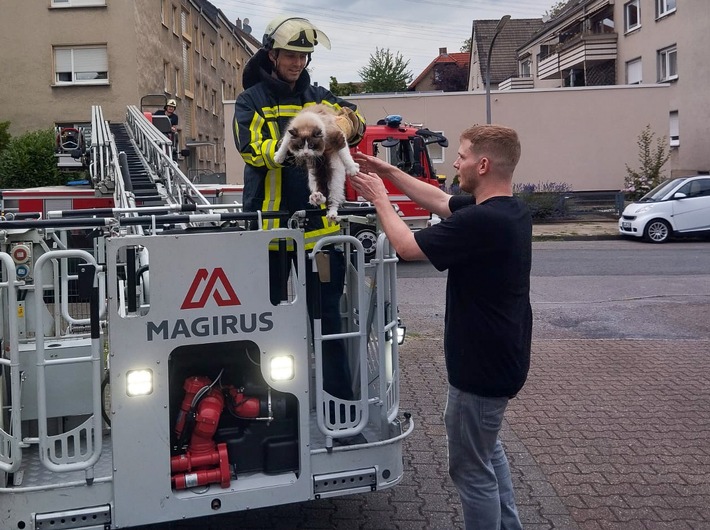 FW-BO: Feuerwehr rettet hilflosen Kater "Loki" vom Dach eines Mehrfamilienhauses