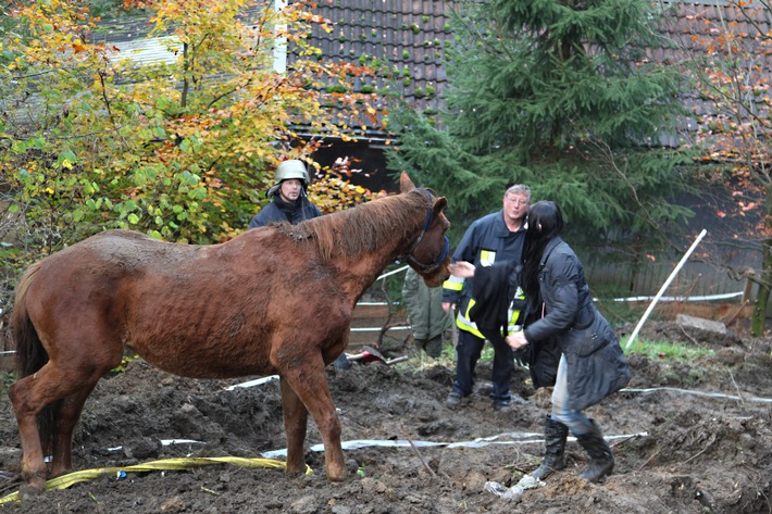 FW-E: Erfolgreiche Tierrettung in Essen-Byfang, Holsteiner Pferd war in Graben gerutscht