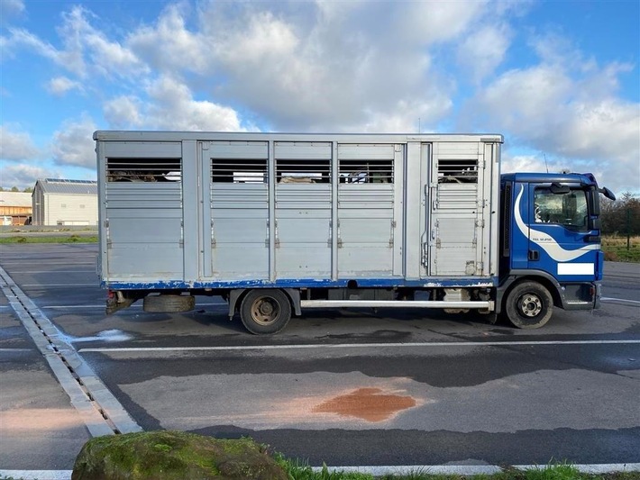 POL-PDKL: Tiertransport durch Polizei vorzeitig beendet