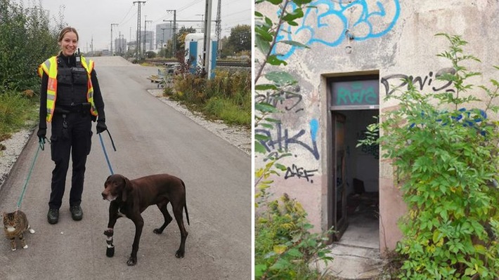 Bundespolizeidirektion München: Hund und Katze ins Tierheim