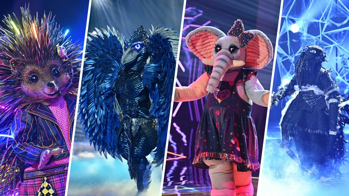 Mystisch &amp; imposant. Welches Rätsel wird im &quot;The Masked Singer&quot;-Finale gelöst? Welches nicht?