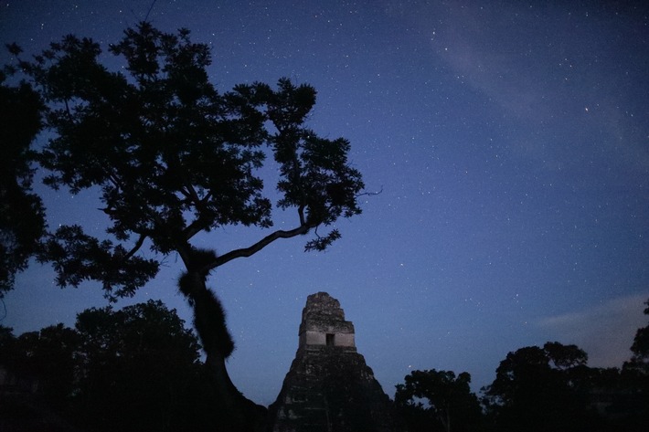 &quot;Im Reich des Schlangen-Königs&quot; schreibt Geschichte neu: Das National Geographic Special enthüllt bisher unbekannte Dimensionen der antiken Maya-Zivilisation