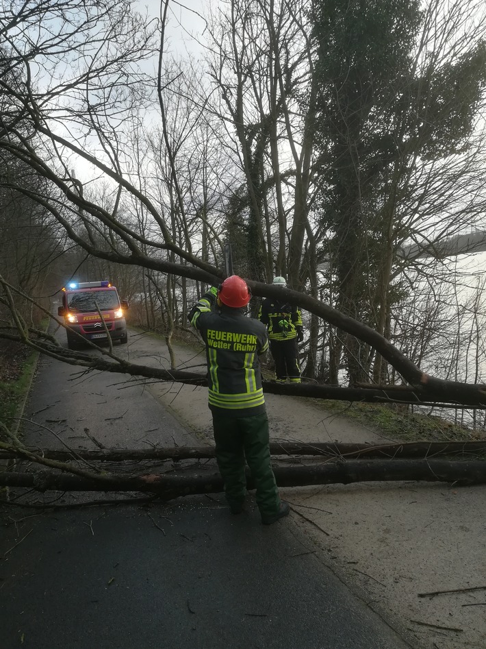 FW-EN: Wetter - Kraftstoffgeruch und umgestürzter Baum