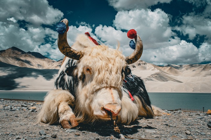 Mit Eberhardt TRAVEL nach Xinjiang: 18 Tage Natur & Kultur im Wilden Westen Chinas