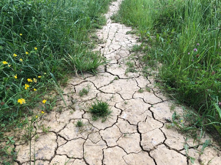 Hitzewelle und zugleich Unwetter stehen laut Wetterprognosen bevor / Intelligentes Wassermanagement für Städte, Kommunen und Unternehmen notwendig