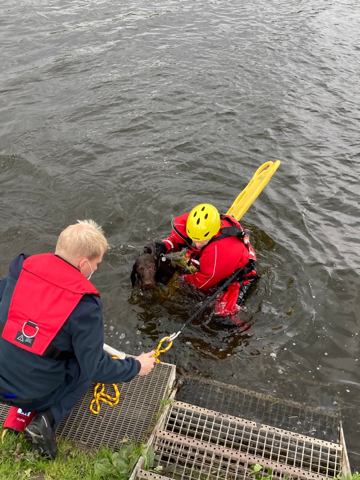 FW-EN: Hattinger Feuerwehr rettet Hund aus der Ruhr