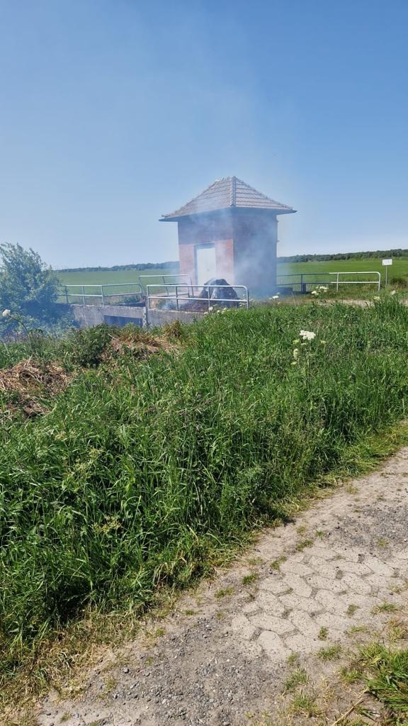 FFW Schiffdorf: Feuerwehr verhindert Ausbreitung - trockene Vegetation macht sich bemerkbar