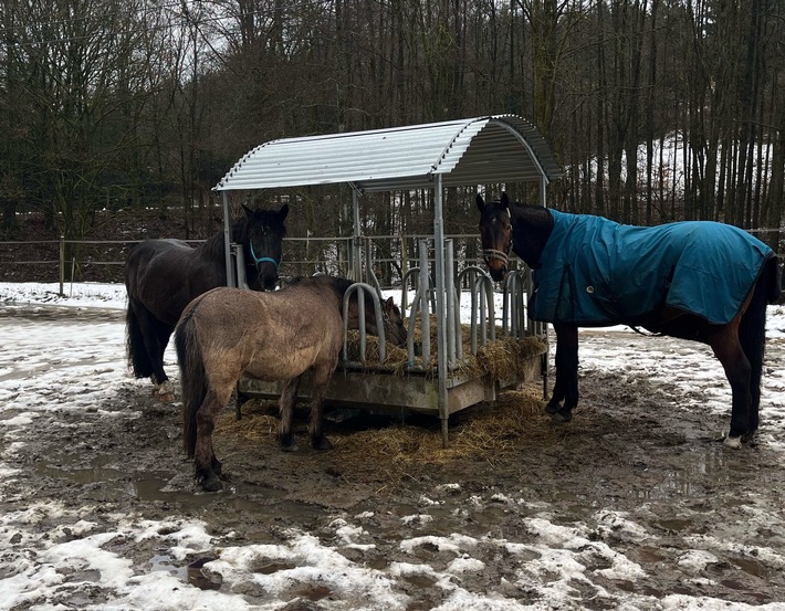 POL-DO: Tierische Gefahrenstellle auf der A 45: Polizei rettet drei Pferde von der Autobahn