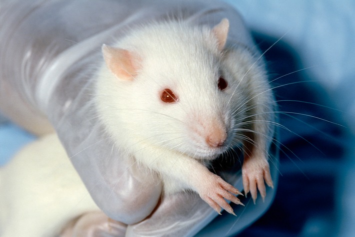 A la recherche d&#039;alternatives / Congrès de la Protection Suisse des Animaux PSA sur l&#039;expérimentation animale