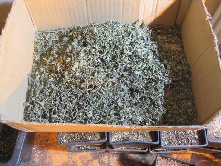 POL-GOE: (34/2014) Indoor-Hanfplantage in Göttingen - Polizei beschlagnahmt rund 630 Pflanzen und 5,6 Kilogramm Marihuana