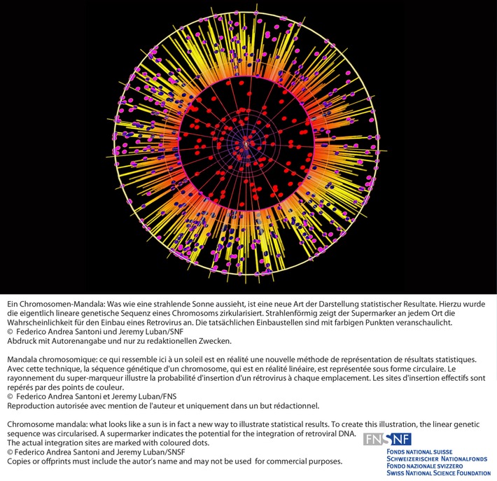 SNF: Bild der Forschung Februar 2011:  Kartierung von Stellen, an denen Retroviren bevorzugt ihr Erbgut einbauen