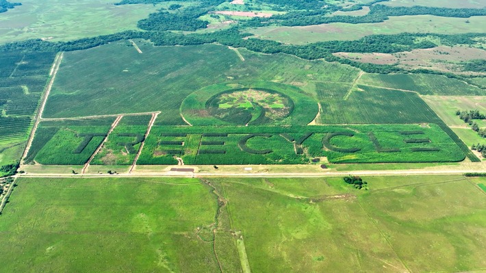 In Paraguay wächst das größte Naturlogo der Welt / Treecycle setzt Guinness-Weltrekord