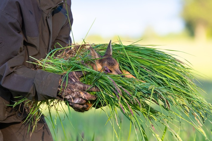 Rehkitz-Rettung: Wildtierschutz Deutschland veröffentlicht bundesweites Verzeichnis mit Drohnenteams