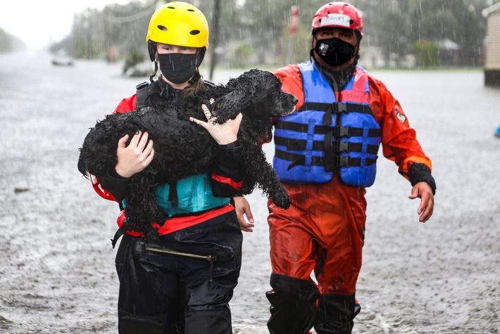 Neuer Report: IFAW fordert Tiere in Katastrophenschutzpläne einzubeziehen