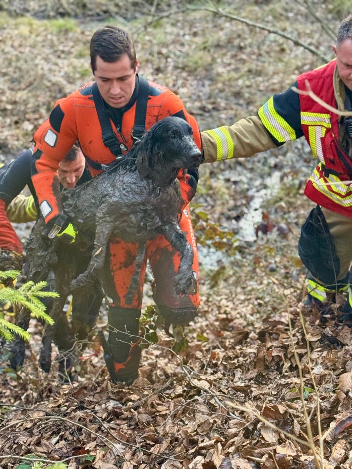 FW Stuttgart: Tierrettung im Moorgebiet in Stuttgart-Botnang