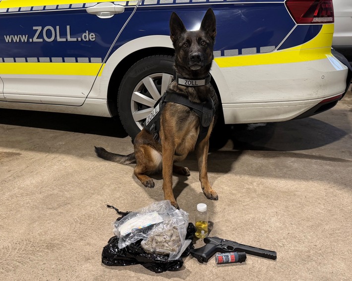 HZA-BI: Kokain in Kissen versteckt/Zollhündin "Skadi" enttarnt Schmuggelversuch auf A2 bei Bielefeld