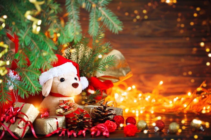 Heimtiere nicht als Überraschung zu Weihnachten verschenken!