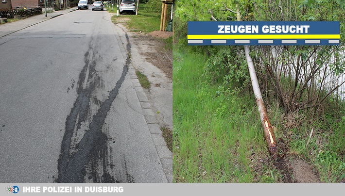 POL-DU: Bergheim: Nach Ausweichmanöver vor einem Baum gelandet