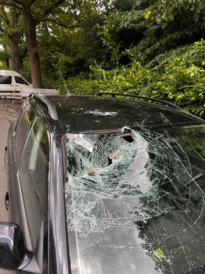 FW-DT: Baum auf Fahrbahn - Windschutzscheibe getroffen