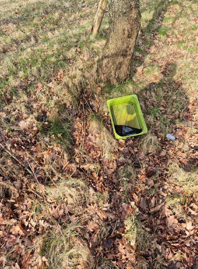 POL-NMS: 260331-1- Zeugen nach unerlaubter Müllentsorgung gesucht