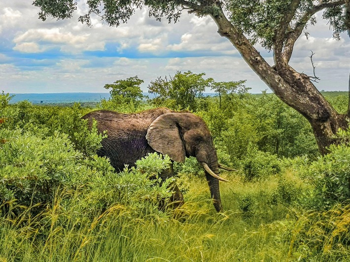 Pressemeldung: Gebeco veröffentlicht neue Afrika Highlights für ein spannendes Reisejahr 2027