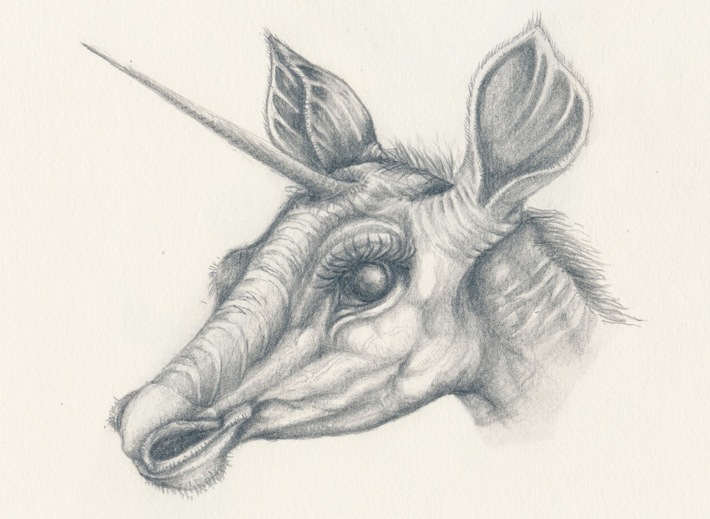 Anlässe im Naturmuseum SO im Monat November