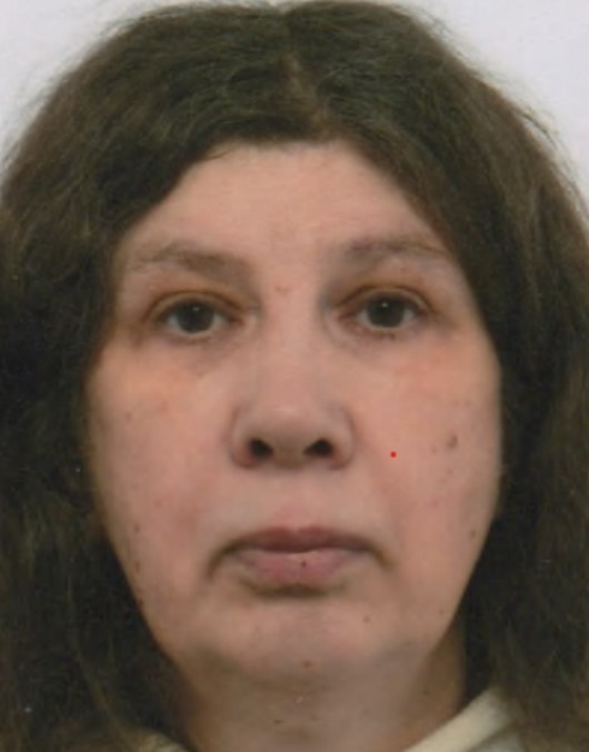 POL-SO: Öffentlichkeitsfahndung nach vermisster 63-Jähriger aus Lippstadt