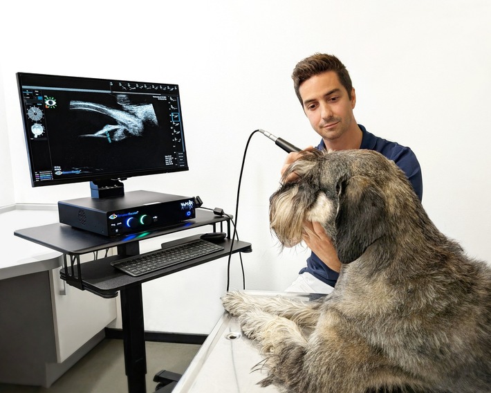AniCura Tierärztliche Spezialisten Hamburg setzt auf innovative Augenheilkunde: Neues Sonographie-Gerät verbessert Diagnostik und Therapie