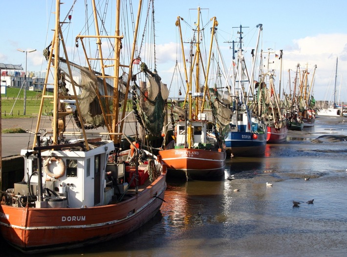 DBU: Fischzucht: Spezialfutter soll Larven länger leben lassen