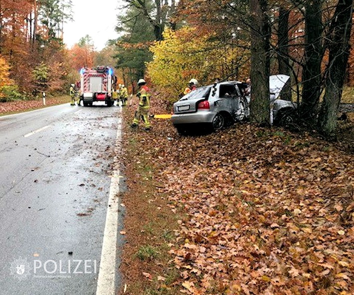 POL-PPWP: Gegen Baum geprallt