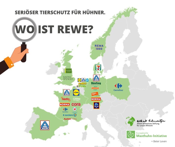 Hunderttausend fordern Tierschutz von Rewe, Europas Supermärkte machen es vor