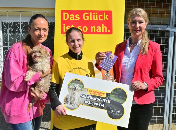 Das neuen "Lucky Dog"-Los bringt Glück in Sachsens Tierheime