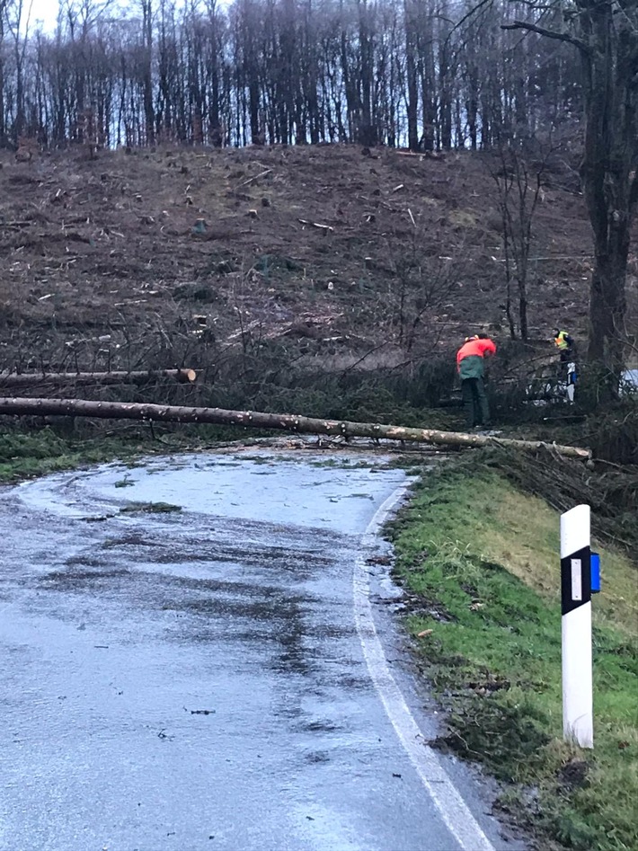 FW Lügde: Mehrere umgestürzte Bäume beschäftigen Feuerwehr Lügde