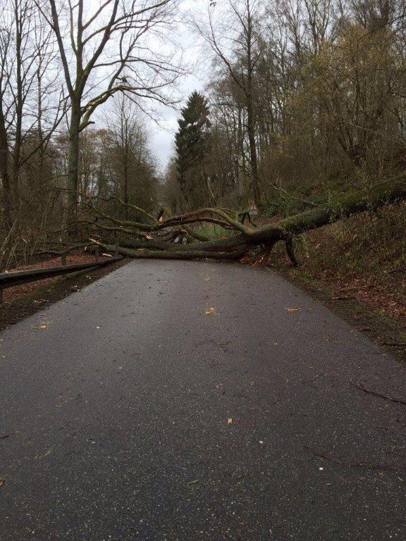 POL-PPWP: Sturm hält Polizei in Trab