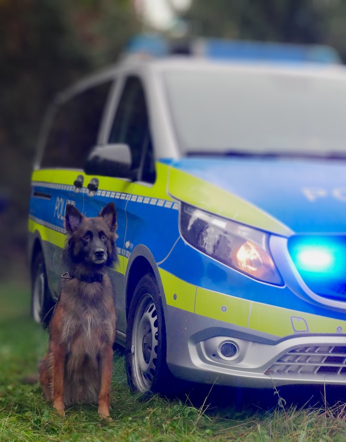 POL-HA: Einbrecher mithilfe von Polizeihubschrauber und Diensthund Turbo gefasst